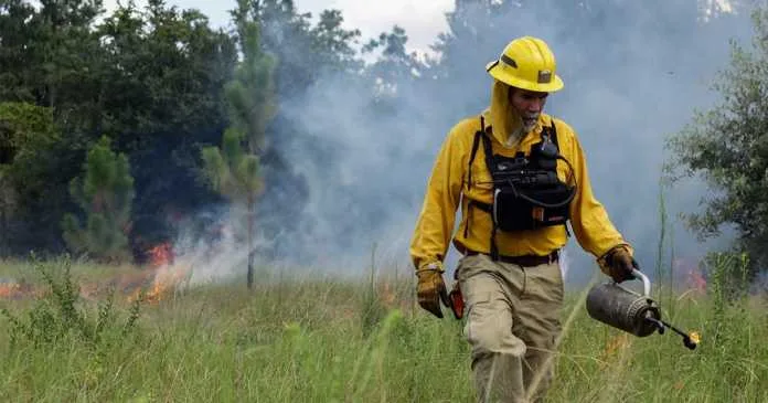 Firefighter in yellow gear walks through a smoky grassy field carrying a drip torch as flames burn in the background.